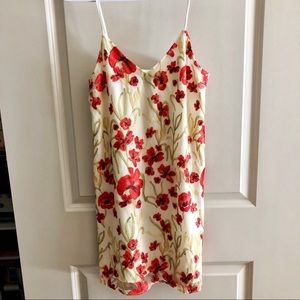 Aritzia Little Moon Floral Dress